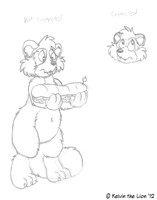 Tanuki masks