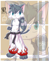 Kuroshi of the Byakko! Descend!