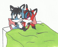 cozy in bed