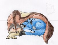 pssst, they're sleeping!