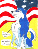 All American Bluecollie