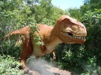 Tyrannosaurus Rex