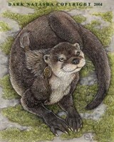 Little Otter