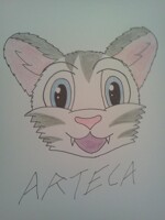 Arteca