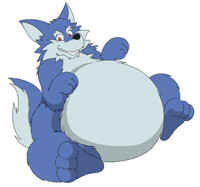 big belly wolf