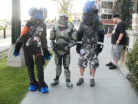 Halo and Furries