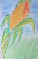 Corn Woe