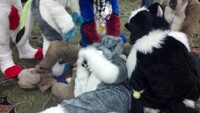Furry fun at MFM 2012 <3