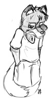 Grumpy Fox
