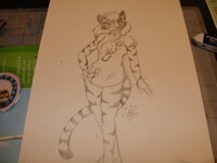 RF COmmission #13 2012