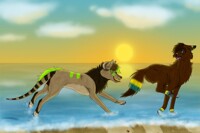 :C: Stop Following Me!