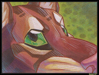 Clouded Leopard Test