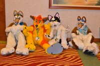 2011 Rainfurrest 031