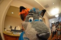 2011 Rainfurrest 052