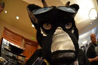 2011 Rainfurrest 054