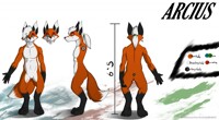 Arcius Reference Sheet (Clean)