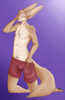CM beartp 2/5