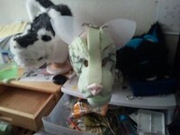 all the fursuit heads im working on  or are finished 