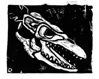 mosasaur skull