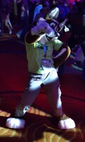 Husky at the RainFurrest dance.