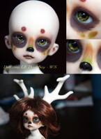 BJD Face Up - DZ Deer Boy -