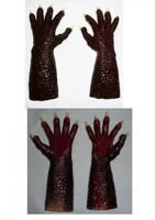 Lizard and Dragon Hands