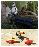 Protecting the Birds!