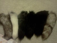 Fox tails