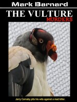 The Next E-Book Cover