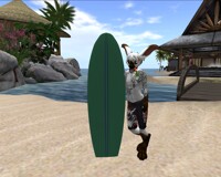 surfbunny 1