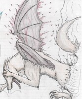 Draco-wolf