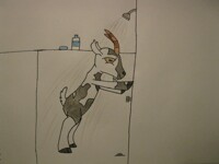 Buckshot in the shower 