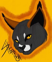 Shenanigan's Fat Head