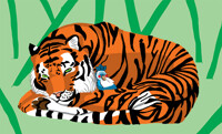 Tiger and Bird