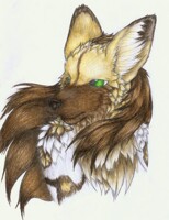 Eyes of Green