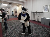 RandomeSuiter 1.1