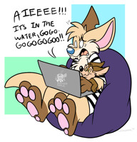 SOMEONE LIKES AMNESIA