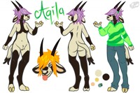 Aqila Reference