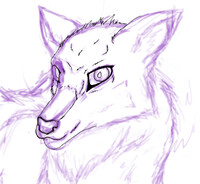 Livestreaming RIGHT NOW