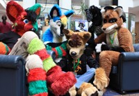 Name all the fursuiters 