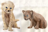 Baby Cheetah and Baby Panther