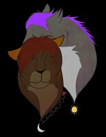 Sun and Moon