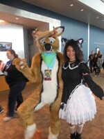 Daylo Nekocon 2012