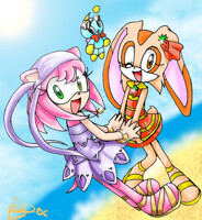 :A Day of the sun and beach: