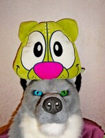 Double head [Husky head]
