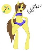 Sketcha