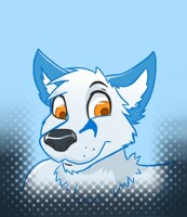 Husher badge 