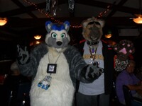 Halloween Party With Coony
