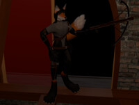 Assassin fox again