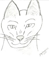 Bust/Face Practice - Pencil/Line